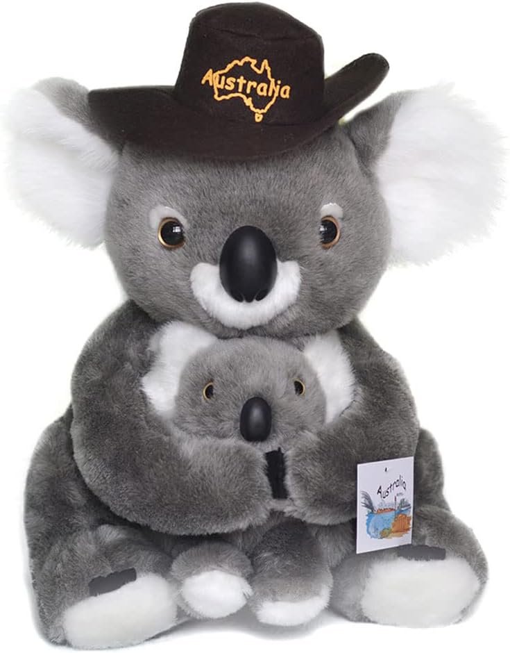 Colchoneria Koala